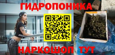 PSILOCYBIN Кингисепп