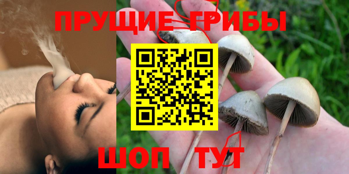 Галлюциногенные грибы мицелий  Вход с VPN  Кудымкар 